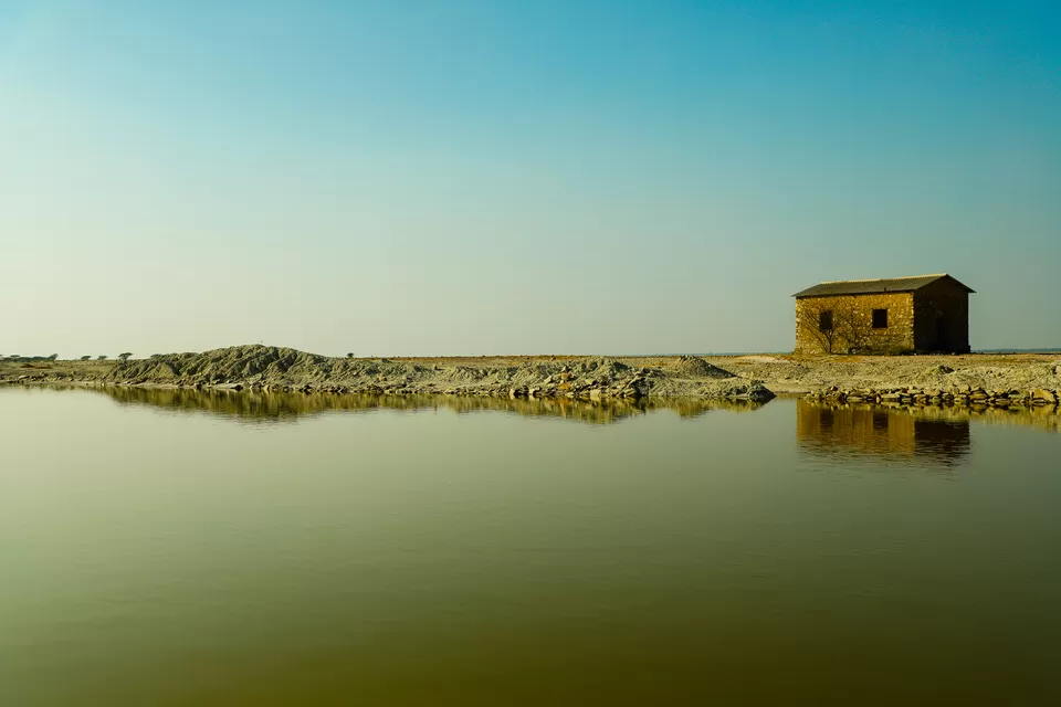 Photo of Sambhar Salt Lake, Rajasthan by Kashish Lamba