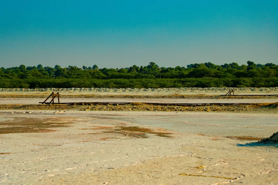 Photo of Sambhar Salt Lake, Rajasthan by Kashish Lamba