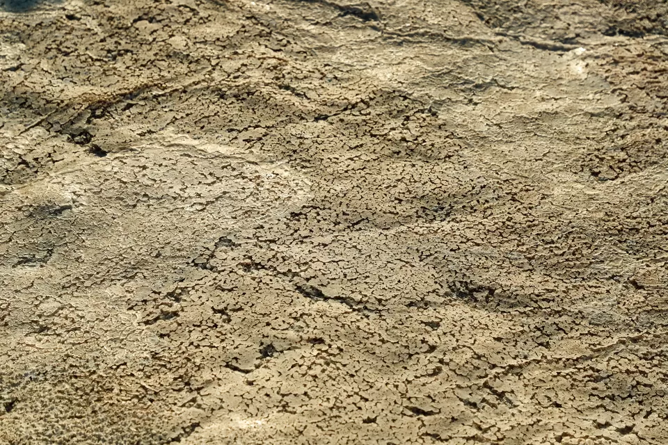Photo of Sambhar Salt Lake, Rajasthan by Kashish Lamba