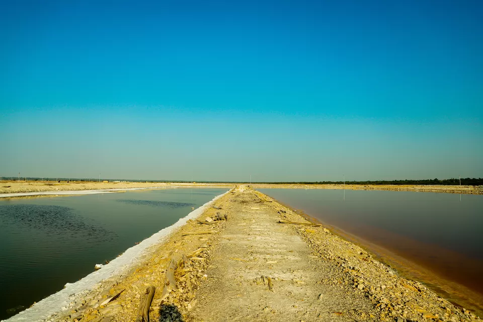 Photo of Sambhar Salt Lake, Rajasthan by Kashish Lamba