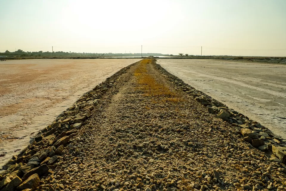 Photo of Sambhar Salt Lake, Rajasthan by Kashish Lamba