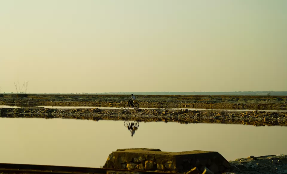 Photo of Sambhar Salt Lake, Rajasthan by Kashish Lamba