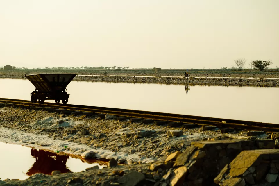 Photo of Sambhar Salt Lake, Rajasthan by Kashish Lamba