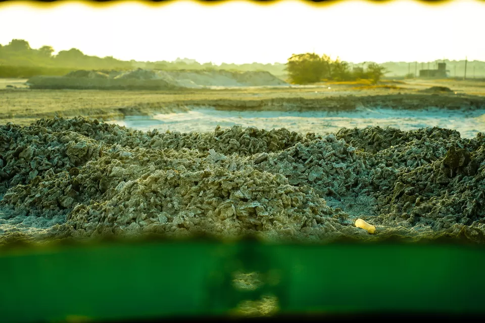 Photo of Sambhar Salt Lake, Rajasthan by Kashish Lamba