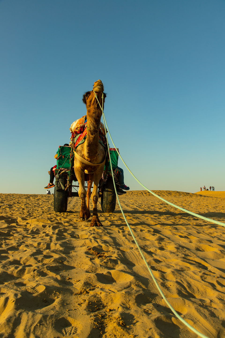 Photo of The Desert Safari of Jaisalmer #rajasthaninphotos by Kashish Lamba