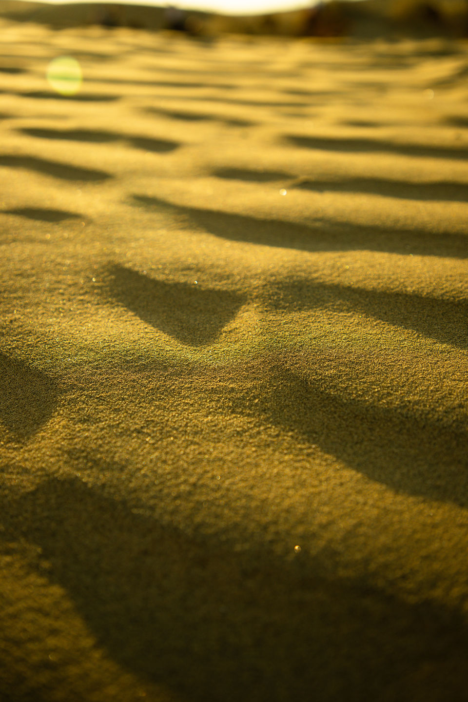 Photo of The Desert Safari of Jaisalmer #rajasthaninphotos by Kashish Lamba