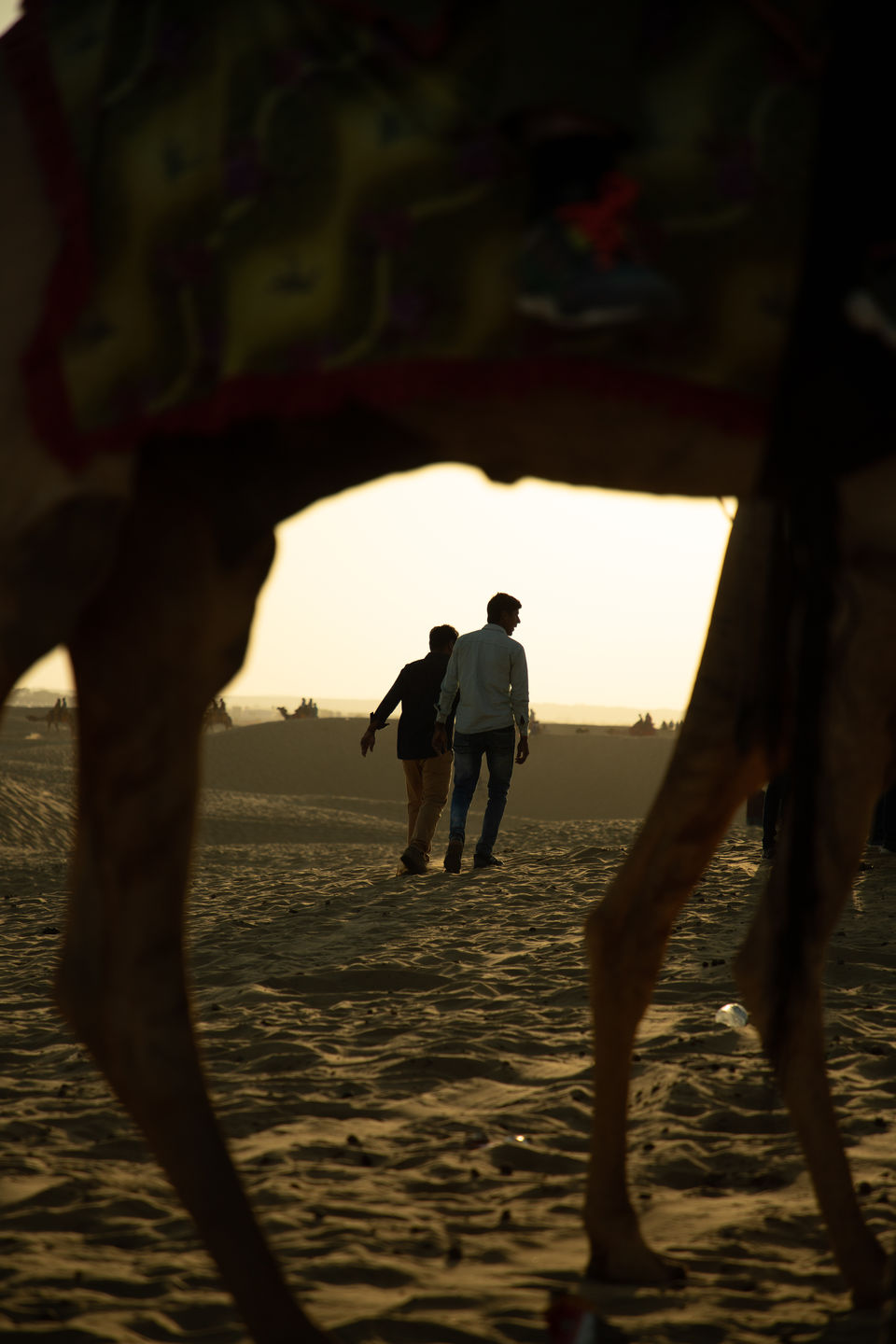 Photo of The Desert Safari of Jaisalmer #rajasthaninphotos by Kashish Lamba