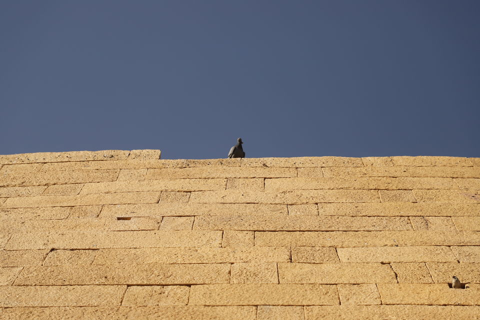 Photo of Golden City Fort Jaisalmer, Khejer Para, Manak Chowk, Amar Sagar Pol, Jaisalmer, Rajasthan, India by Kashish Lamba