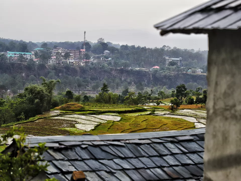 Photo of Palampur, Himachal Pradesh, India by Kashish Lamba