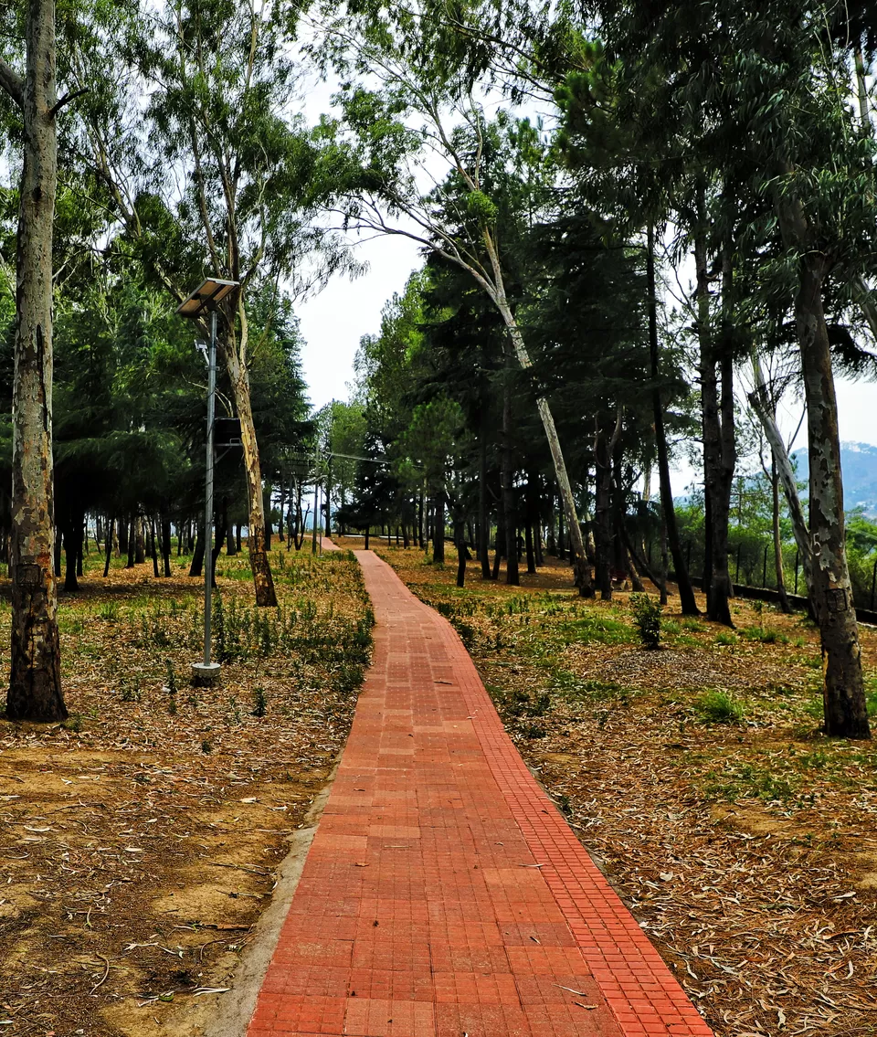 Photo of Palampur, Himachal Pradesh, India by Kashish Lamba