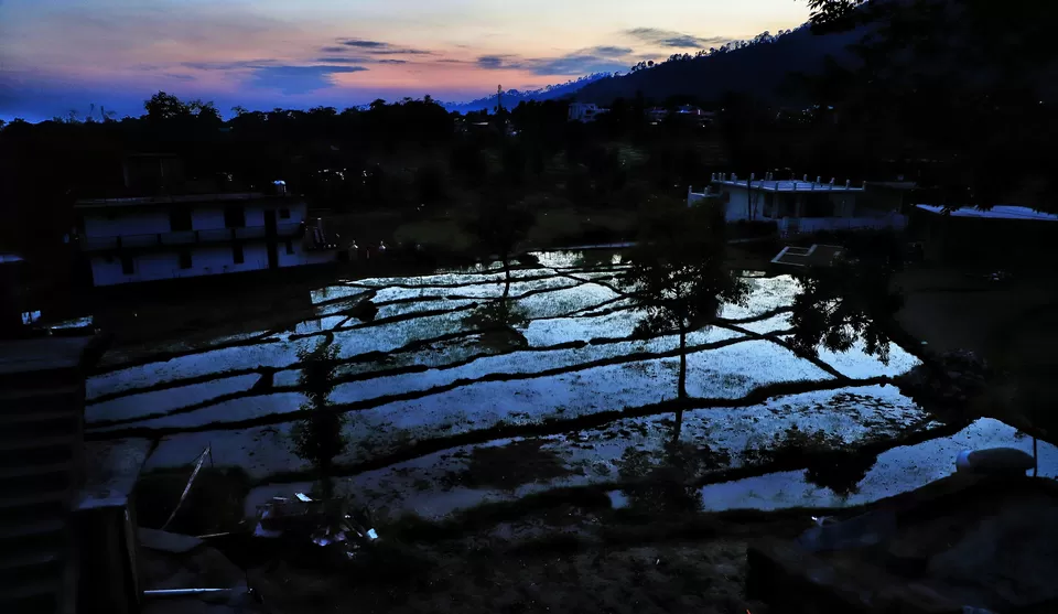 Photo of Palampur, Himachal Pradesh, India by Kashish Lamba