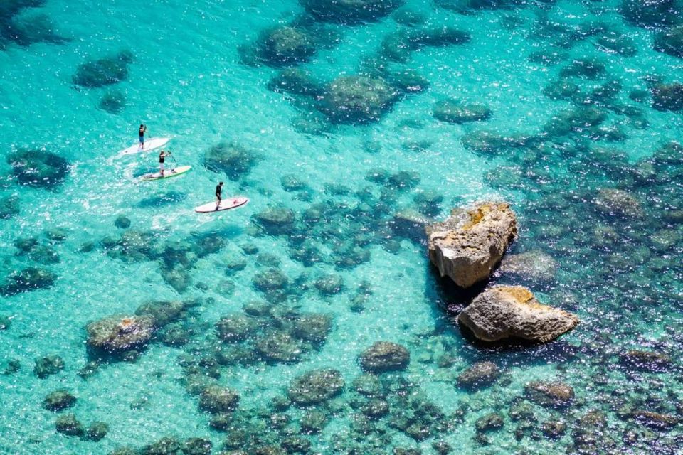 Photo of What You Need to Know When Buying a Sup Race Board by Rosie joy