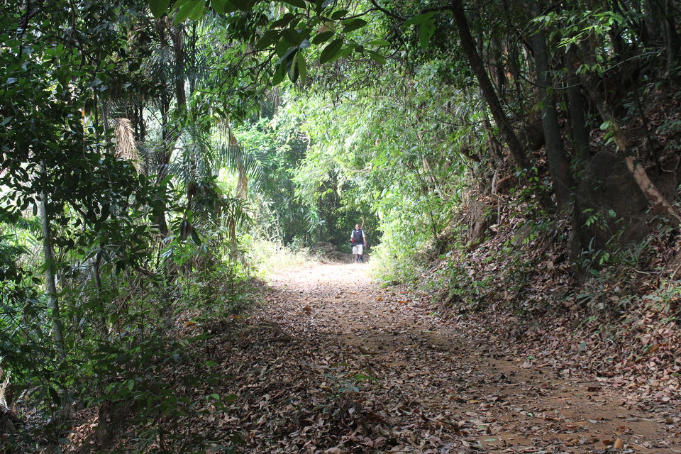 Photo of Makutta-Pattimalai, a nature’s challenge 5/36 by Balachandra