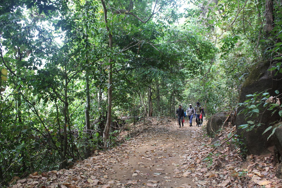 Photo of Makutta-Pattimalai, a nature’s challenge 6/36 by Balachandra