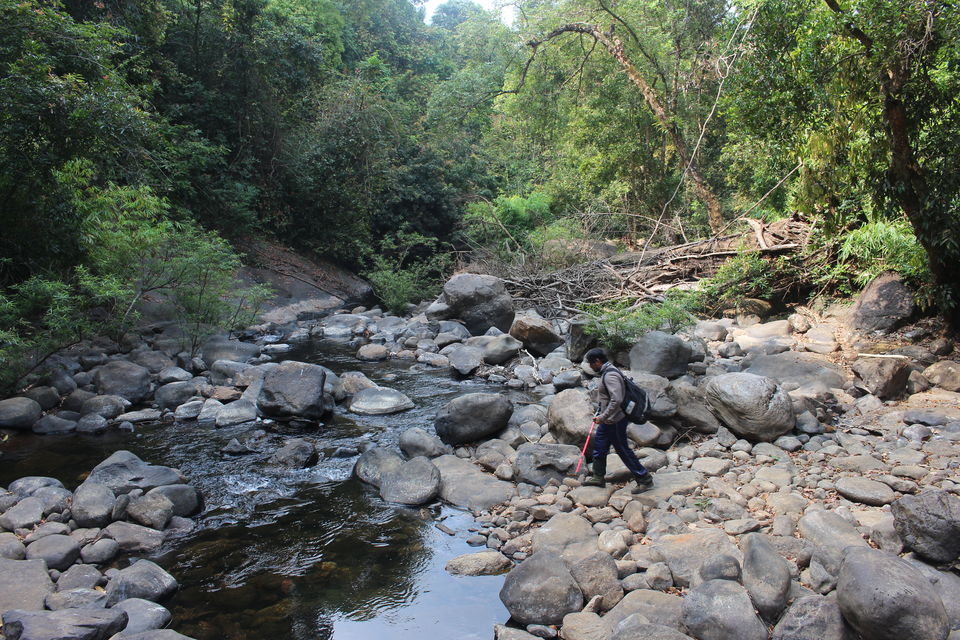 Photo of Makutta-Pattimalai, a nature’s challenge 9/36 by Balachandra