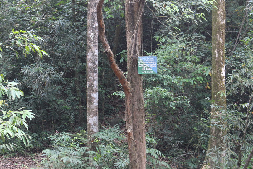 Photo of Makutta-Pattimalai, a nature’s challenge by Balachandra