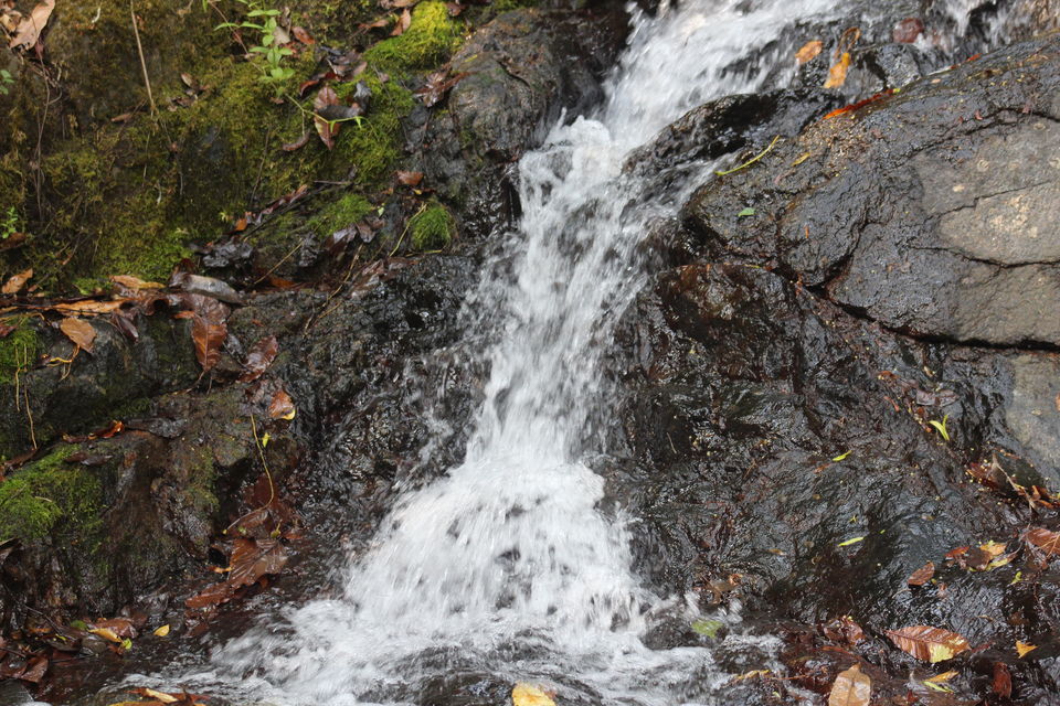 Photo of Makutta-Pattimalai, a nature’s challenge by Balachandra