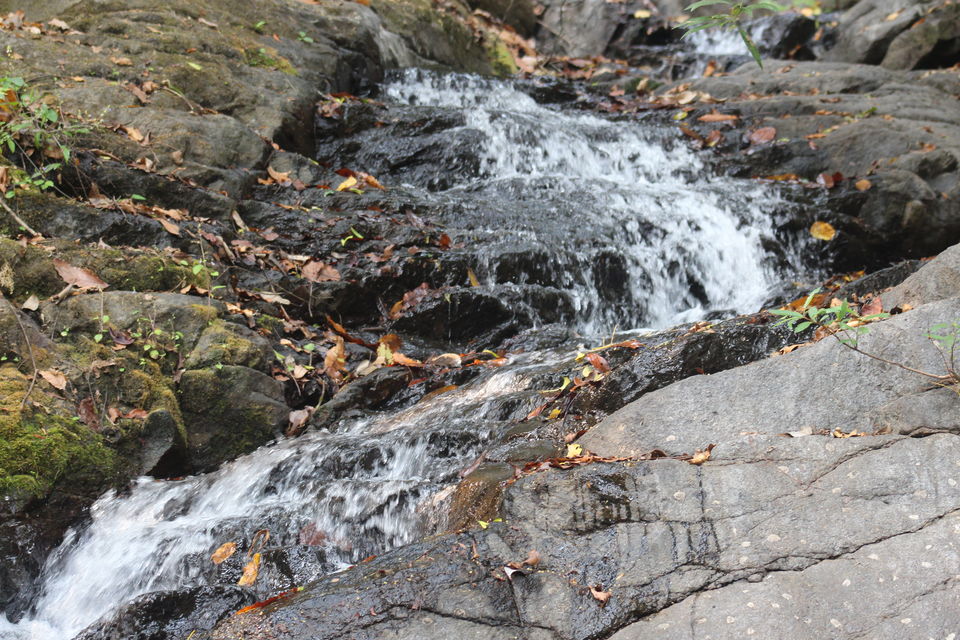 Photo of Makutta-Pattimalai, a nature’s challenge by Balachandra