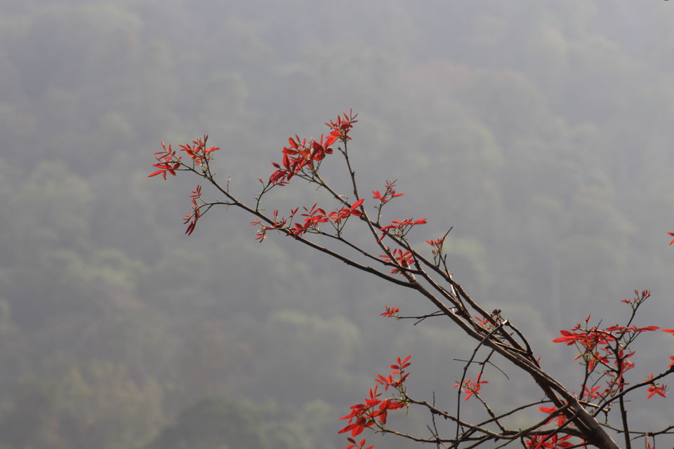 Photo of Makutta-Pattimalai, a nature’s challenge by Balachandra