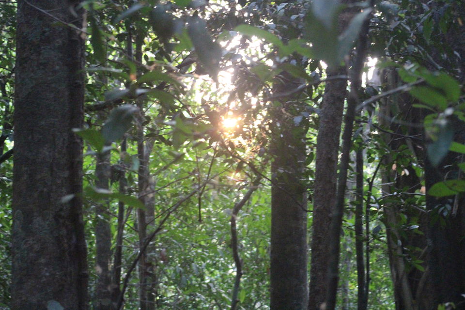 Photo of Makutta-Pattimalai, a nature’s challenge by Balachandra