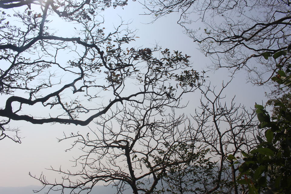 Photo of Makutta-Pattimalai, a nature’s challenge by Balachandra