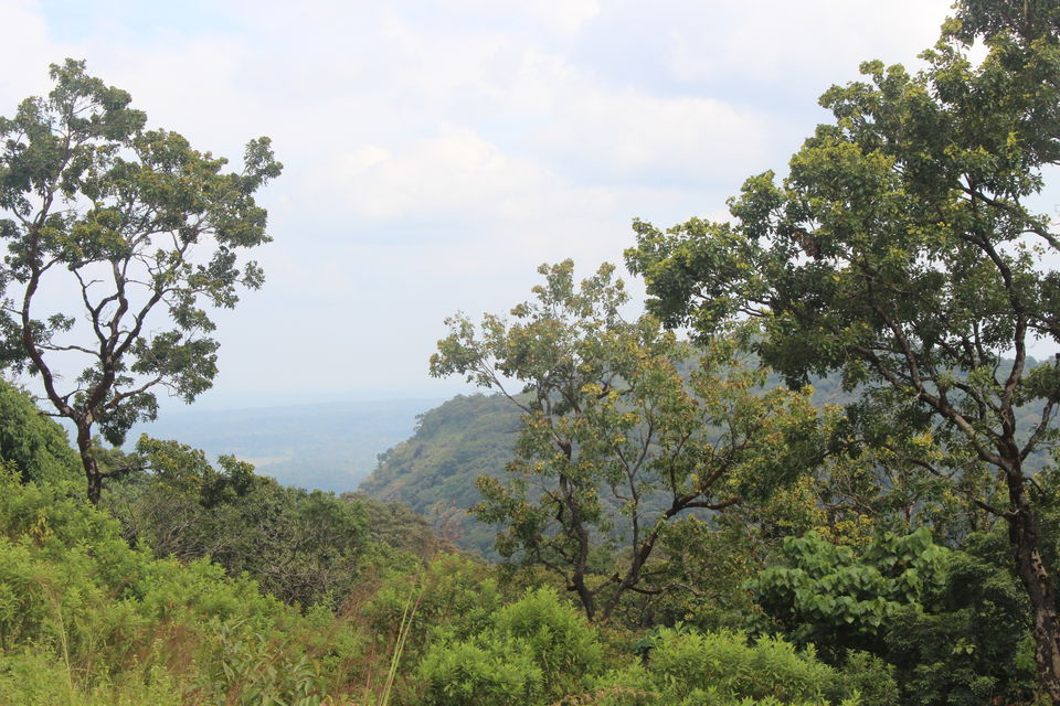 Photo of Beautiful Brahmagiri by Balachandra
