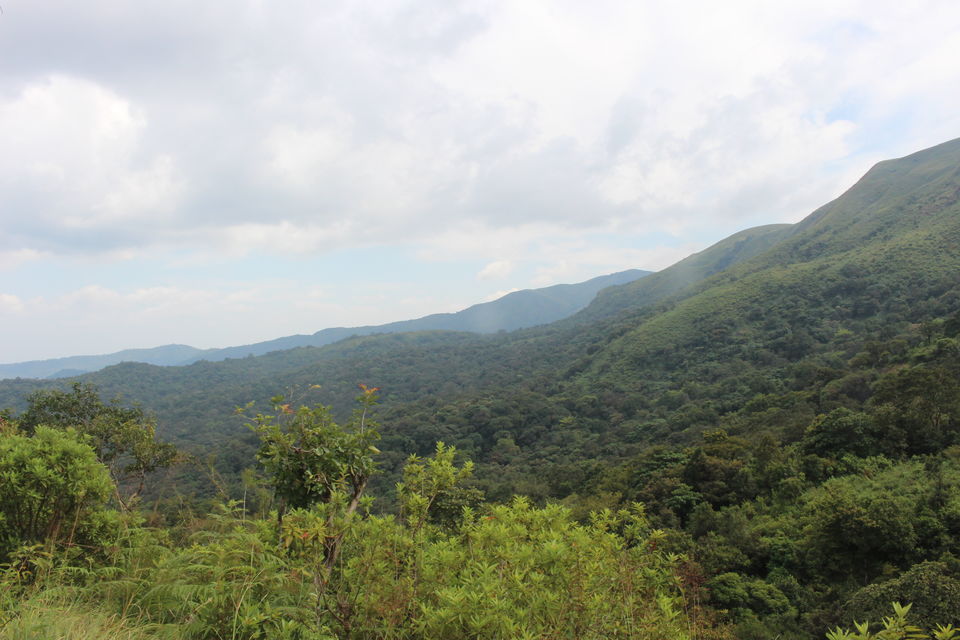 Photo of Beautiful Brahmagiri by Balachandra