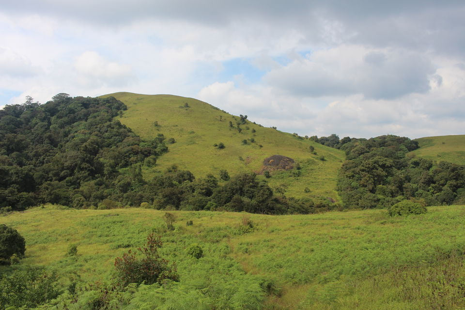 Photo of Beautiful Brahmagiri by Balachandra