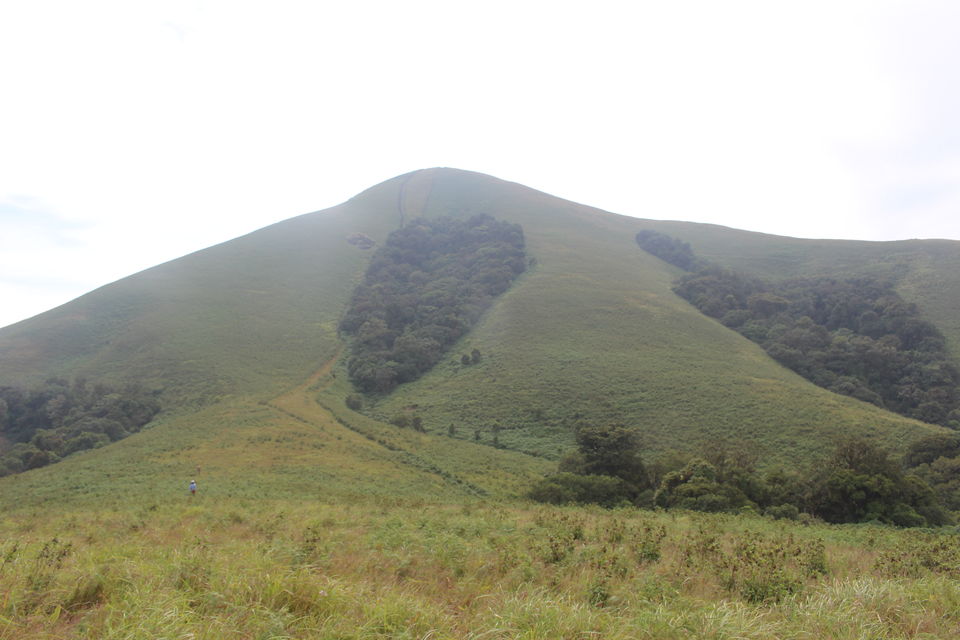 Photo of Beautiful Brahmagiri by Balachandra
