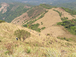 Photo of Shola forests and grasslands: awesome hike to Nishani Motte 1/29 by Balachandra