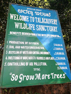 Photo of Shola forests and grasslands: awesome hike to Nishani Motte 6/29 by Balachandra