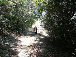 Photo of Shola forests and grasslands: awesome hike to Nishani Motte 11/29 by Balachandra