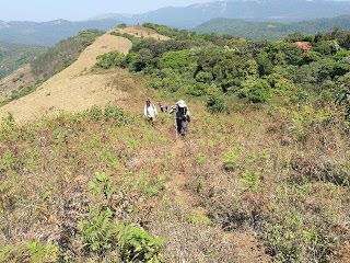 Photo of Shola forests and grasslands: awesome hike to Nishani Motte 13/29 by Balachandra