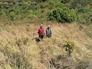 Photo of Shola forests and grasslands: awesome hike to Nishani Motte 14/29 by Balachandra