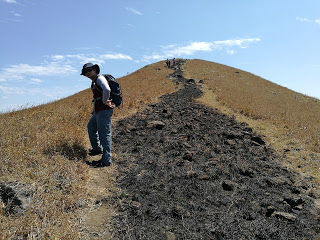 Photo of Shola forests and grasslands: awesome hike to Nishani Motte 16/29 by Balachandra