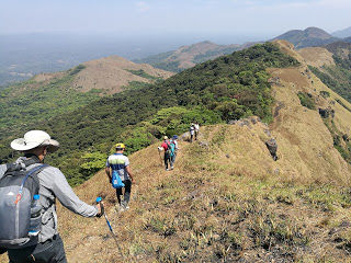 Photo of Shola forests and grasslands: awesome hike to Nishani Motte 19/29 by Balachandra