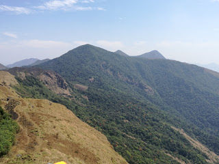 Photo of Shola forests and grasslands: awesome hike to Nishani Motte 20/29 by Balachandra