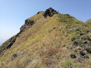 Photo of Shola forests and grasslands: awesome hike to Nishani Motte 21/29 by Balachandra