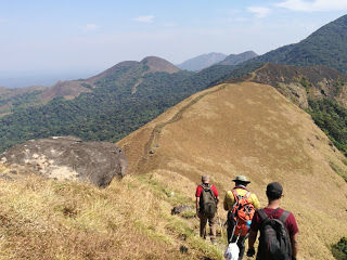 Photo of Shola forests and grasslands: awesome hike to Nishani Motte 23/29 by Balachandra