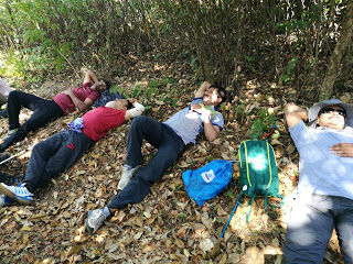 Photo of Shola forests and grasslands: awesome hike to Nishani Motte 24/29 by Balachandra