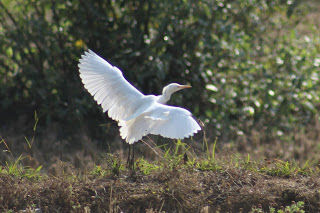 Photo of Amazing time at Bisle Ghat 6/49 by Balachandra
