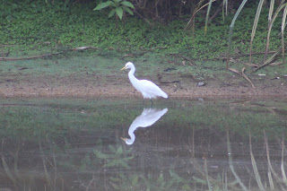 Photo of Amazing time at Bisle Ghat 7/49 by Balachandra