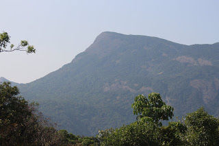Photo of Amazing time at Bisle Ghat 9/49 by Balachandra