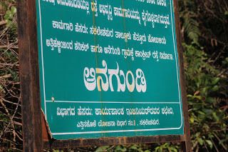 Photo of Amazing time at Bisle Ghat 10/49 by Balachandra