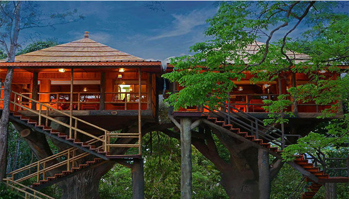 Photo of Best Treehouses in Kerala | Blogs - Travel To India | Golden India Travels 1/1 by Golden India Travels