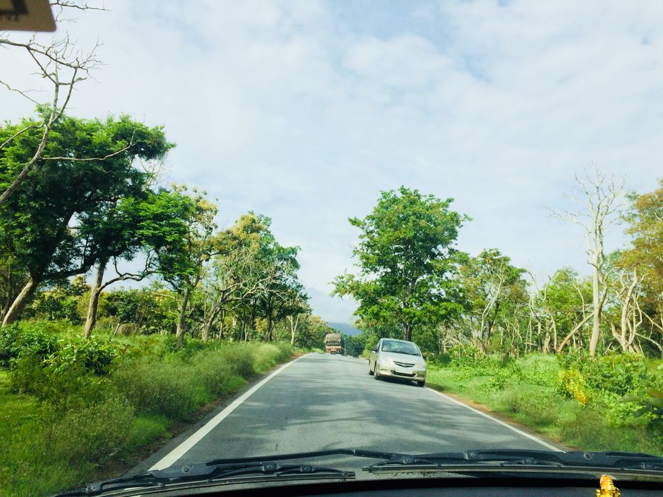 Photo of Ooty, Tamil Nadu, India by AVANIT AGRAWAL