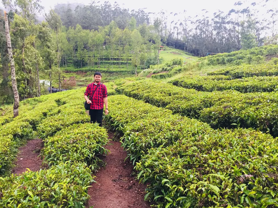 Photo of Ooty, Tamil Nadu, India by Avanit Agrawal