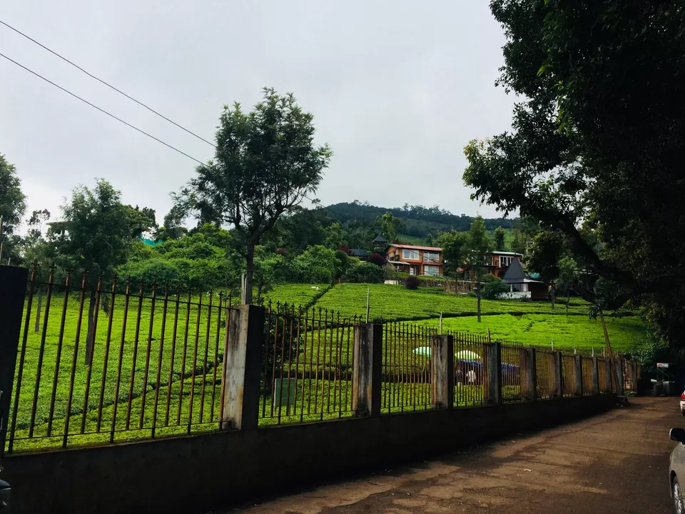 Photo of Drive in the Nilgiris : Bangalore-Mysore-Ooty-Coonoor by Avanit Agrawal