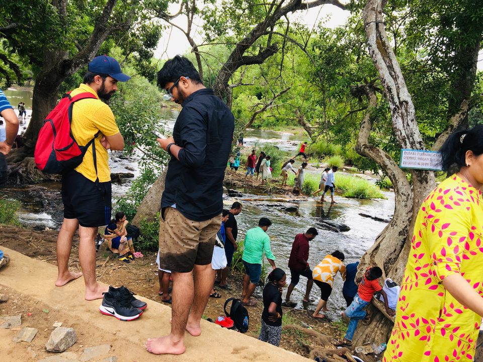 Photo of Dubare Elephant Camp, Nanjarayapatna, Karnataka, India by AVANIT AGRAWAL