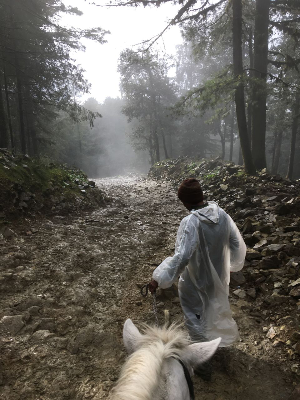 Photo of Kufri, Himachal Pradesh, India by AVANIT AGRAWAL